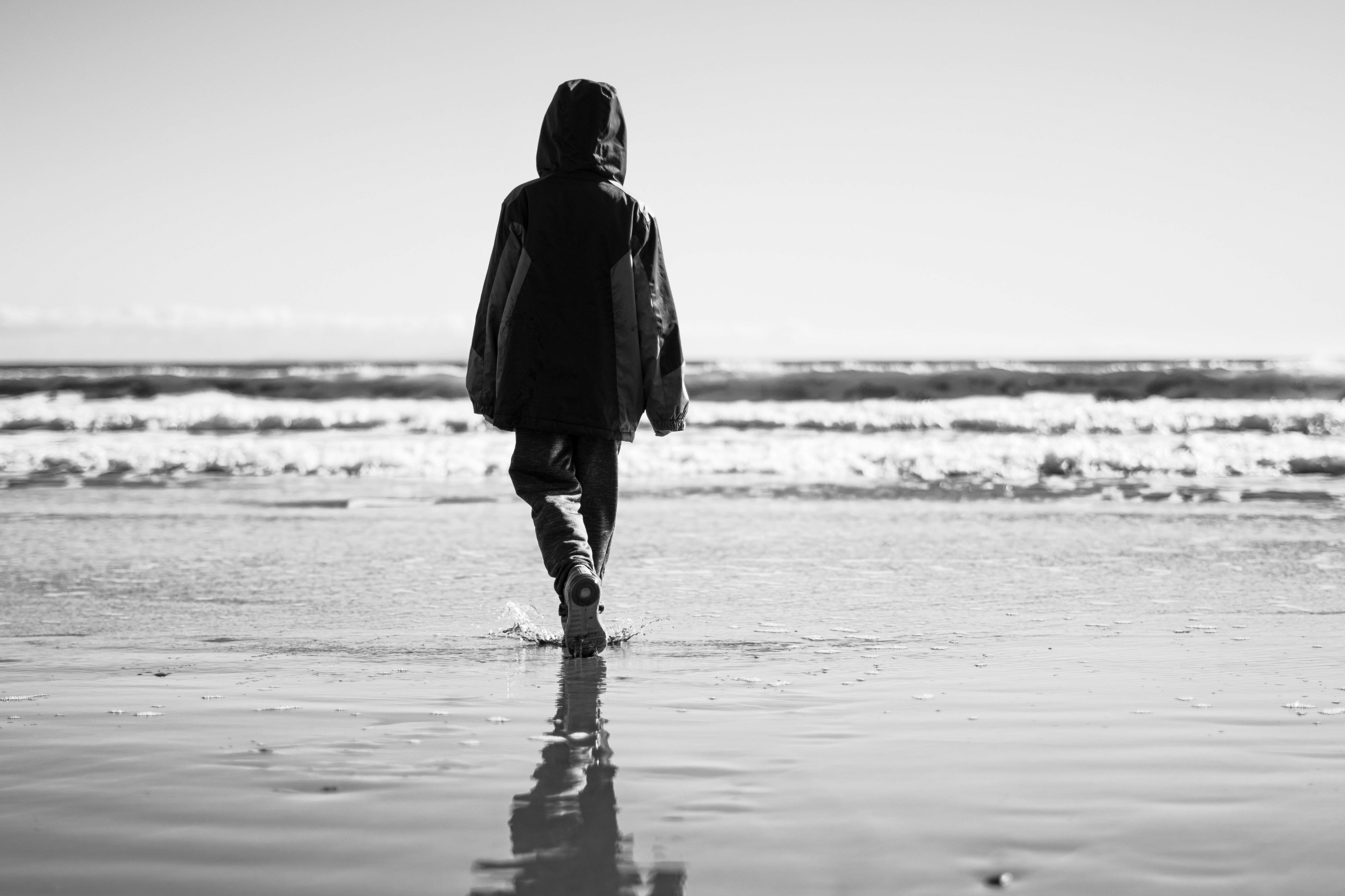 今日推荐电视剧封面：悬疑推理热播图